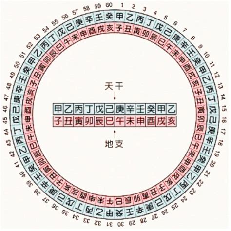 1977 天干地支|干支对照表